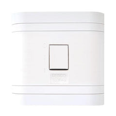 Lesco 2 Pole Flush Isolator Switch with Square Flush Cover